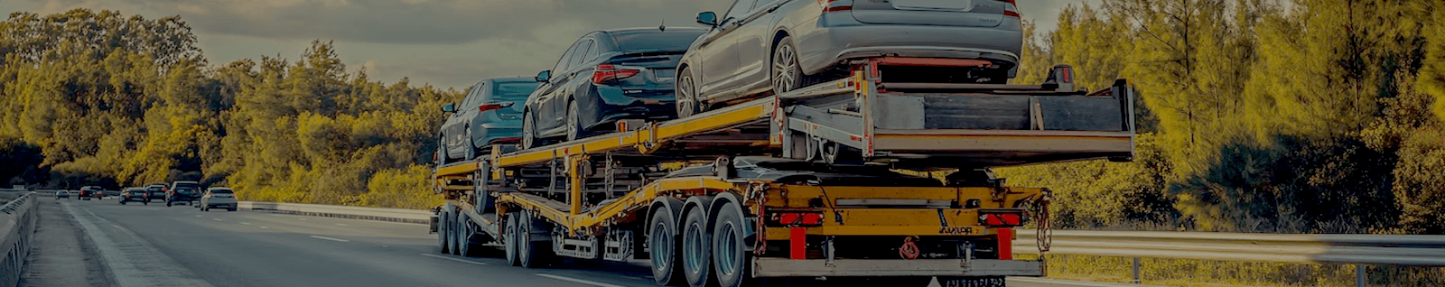 GPS Tracking & Updates